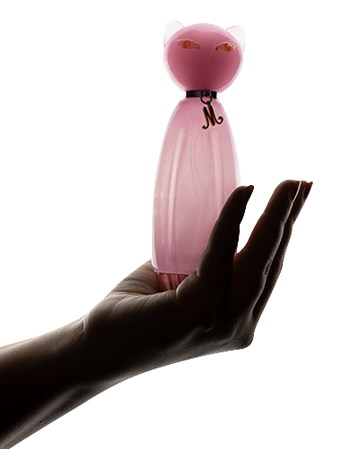 Two Girls working together